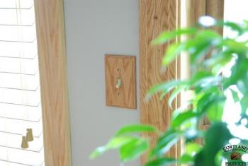 Oak Switchplate